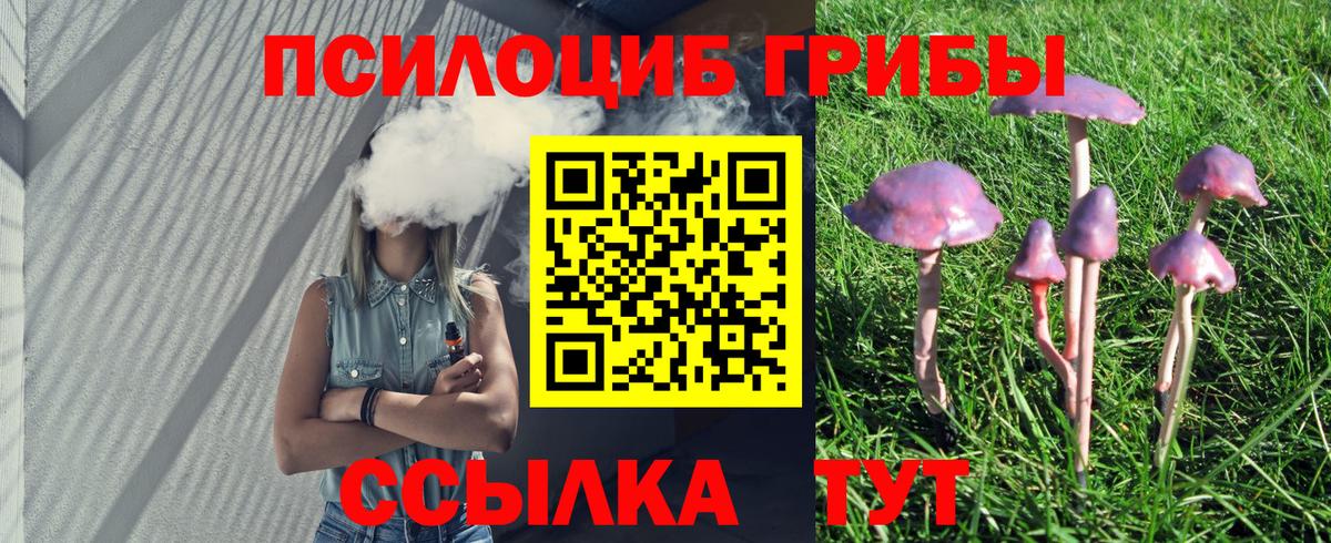 Псилоцибиновые грибы мицелий Абинск